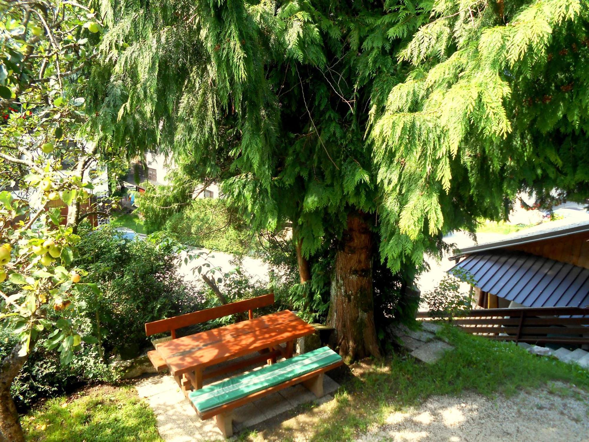 Apartmán V Objemu Gora Bohinj Exteriér fotografie