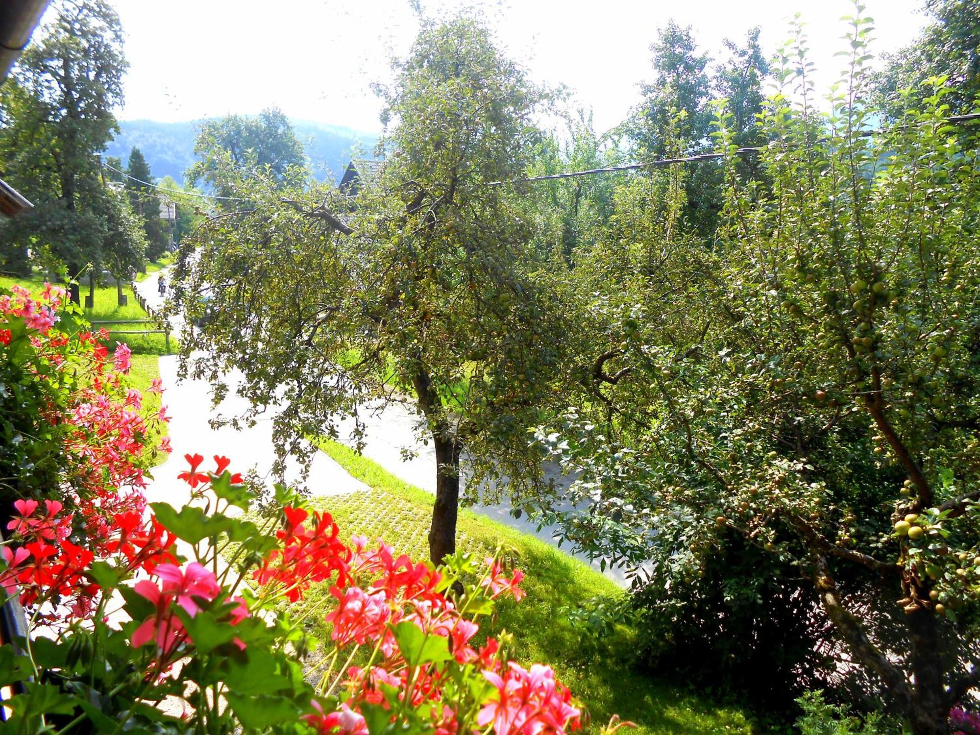 Apartmán V Objemu Gora Bohinj Exteriér fotografie